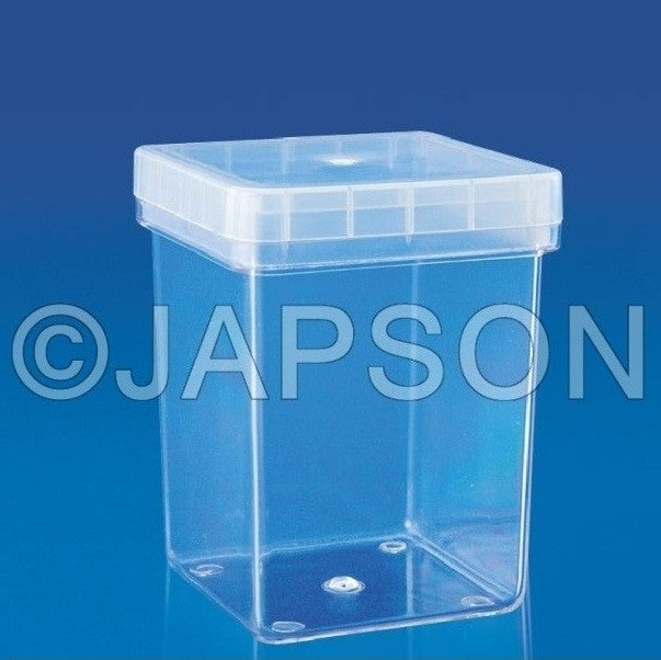 Megenta Box Megenta Box